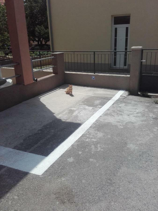 Maremy Apartamento Zadar Exterior foto